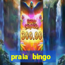 praia bingo dinheiro infinito 2022